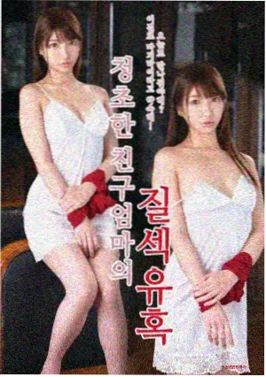 长巷里的账本 家庭现实题材剧集封面